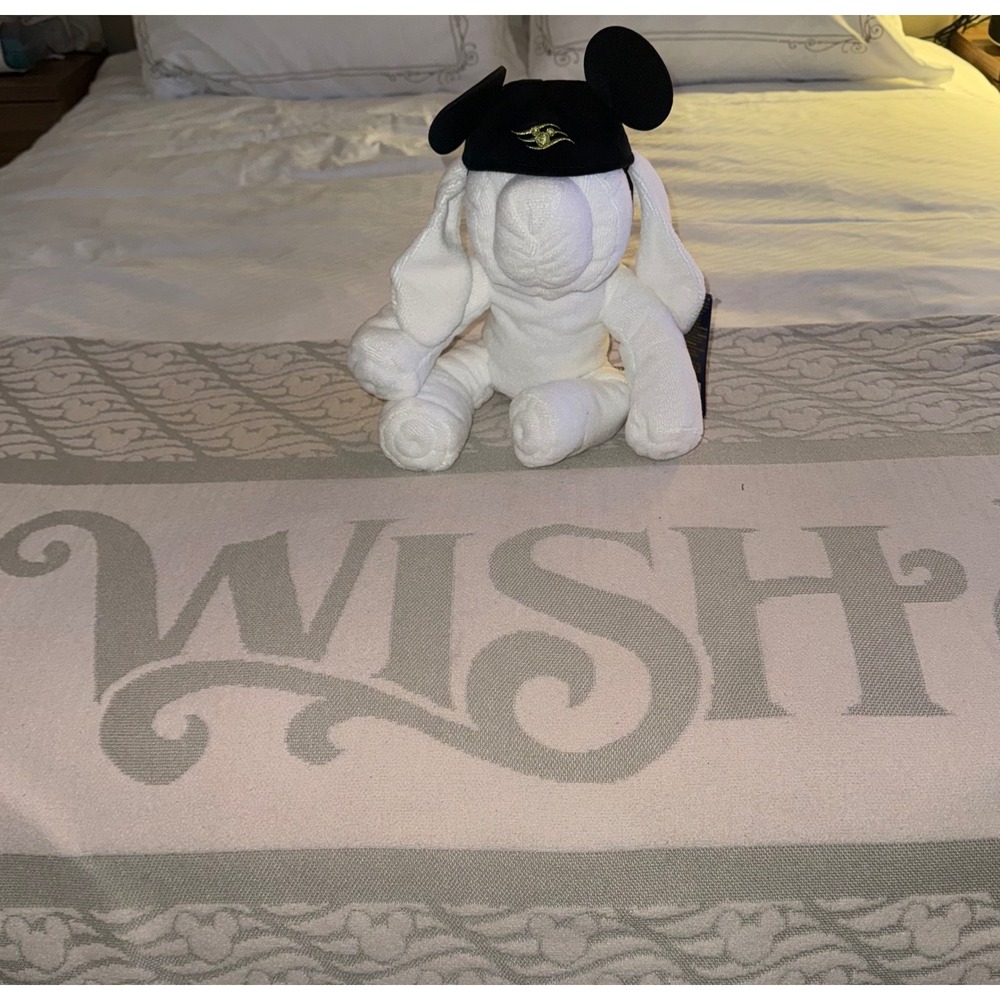 Disney Cruise Line Towel‎ Animal Evie Dog Plush Mickey Ears  Hat NWT